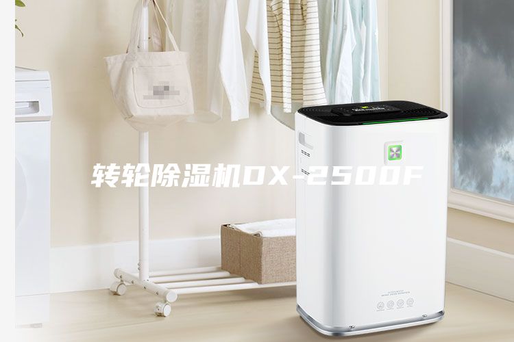 轉(zhuǎn)輪除濕機(jī)DX-2500F