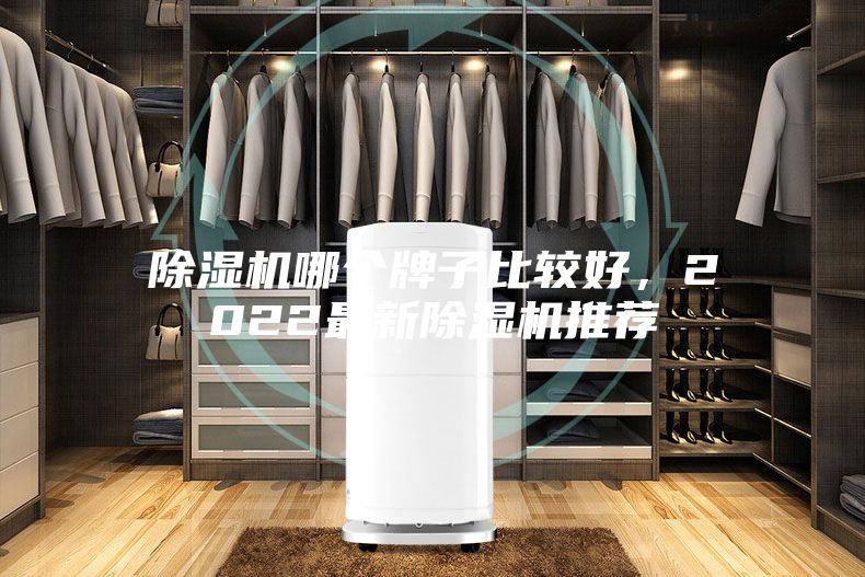 除濕機哪個牌子比較好，2022最新除濕機推薦