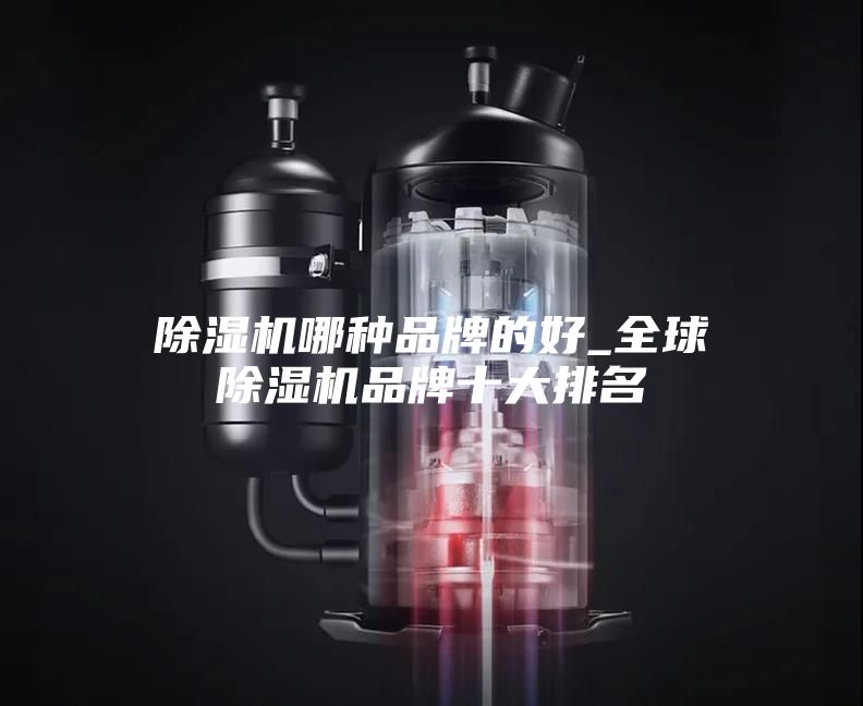 除濕機(jī)哪種品牌的好_全球除濕機(jī)品牌十大排名