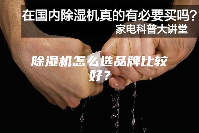 除濕機(jī)怎么選品牌比較好？