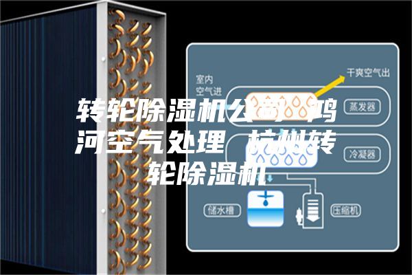 轉(zhuǎn)輪除濕機公司 鴻河空氣處理 杭州轉(zhuǎn)輪除濕機