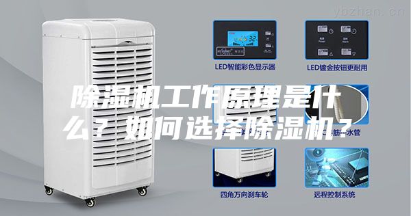 除濕機(jī)工作原理是什么？如何選擇除濕機(jī)？