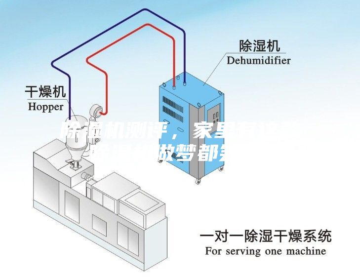 除濕機(jī)測(cè)評(píng)，家里有這款除濕機(jī)做夢(mèng)都笑醒！