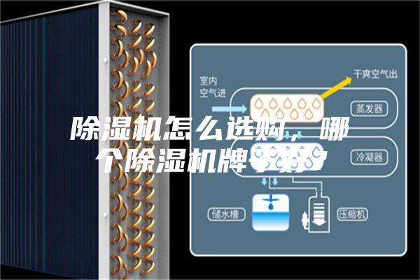 除濕機怎么選購，哪個除濕機牌子好？