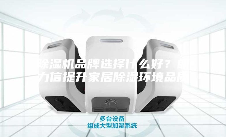 除濕機(jī)品牌選擇什么好？朗力信提升家居除濕環(huán)境品質(zhì)