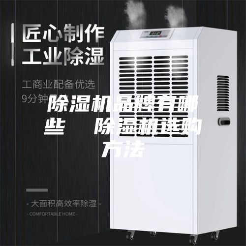 除濕機(jī)品牌有哪些  除濕機(jī)選購方法