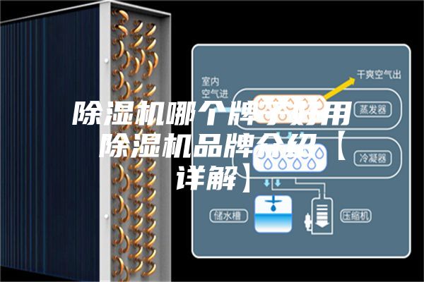 除濕機哪個牌子好用 除濕機品牌介紹【詳解】