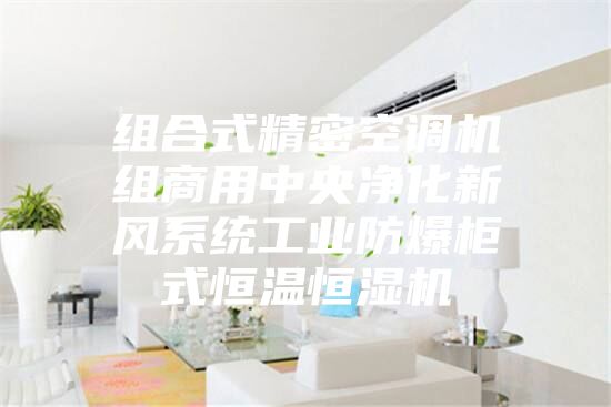 組合式精密空調(diào)機組商用中央凈化新風(fēng)系統(tǒng)工業(yè)防爆柜式恒溫恒濕機