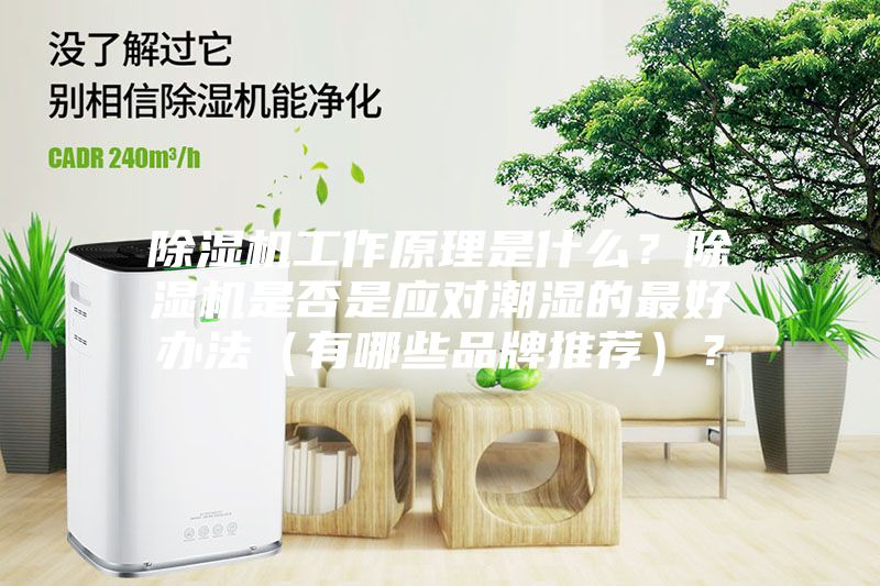 除濕機工作原理是什么？除濕機是否是應(yīng)對潮濕的最好辦法（有哪些品牌推薦）？