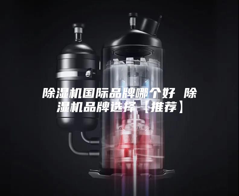 除濕機國際品牌哪個好 除濕機品牌選擇【推薦】