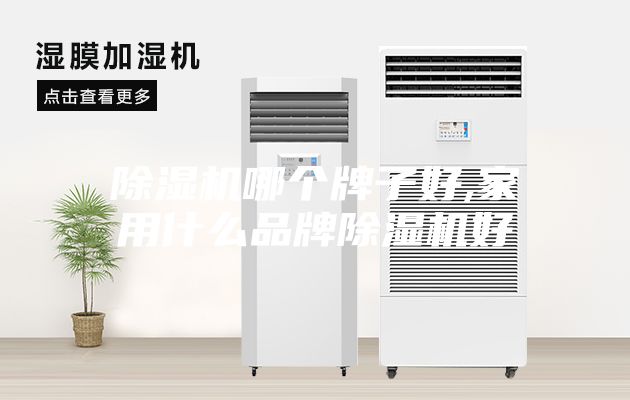 除濕機哪個牌子好,家用什么品牌除濕機好