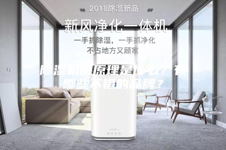 除濕機的原理是什么？有哪些不錯的品牌？