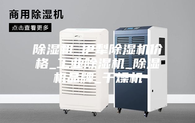 除濕機_伊犁除濕機價格_工業(yè)除濕機_除濕機品牌_干燥機