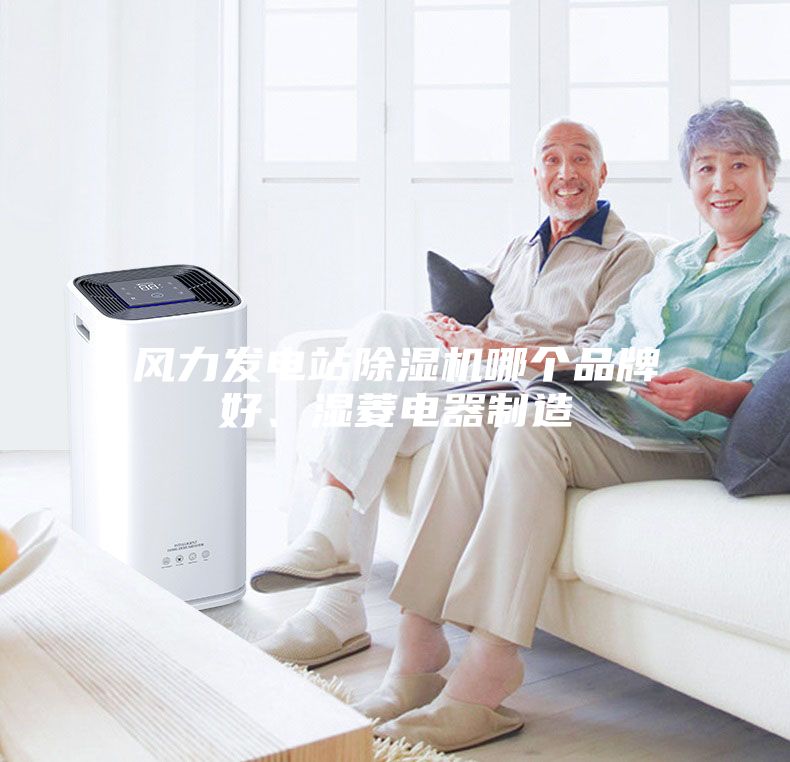 風(fēng)力發(fā)電站除濕機哪個品牌好、濕菱電器制造