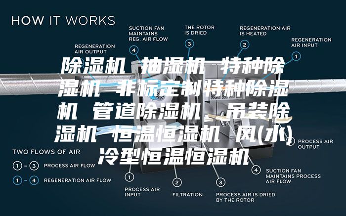 除濕機(jī) 抽濕機(jī) 特種除濕機(jī) 非標(biāo)定制特種除濕機(jī) 管道除濕機(jī)、吊裝除濕機(jī) 恒溫恒濕機(jī) 風(fēng)(水)冷型恒溫恒濕機(jī)