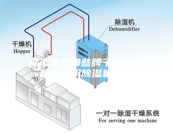 除濕機有哪些牌子—七大名牌家用除濕機介紹