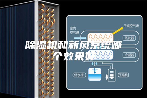 除濕機(jī)和新風(fēng)系統(tǒng)哪個(gè)效果好