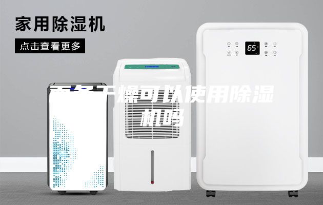 面條干燥可以使用除濕機嗎